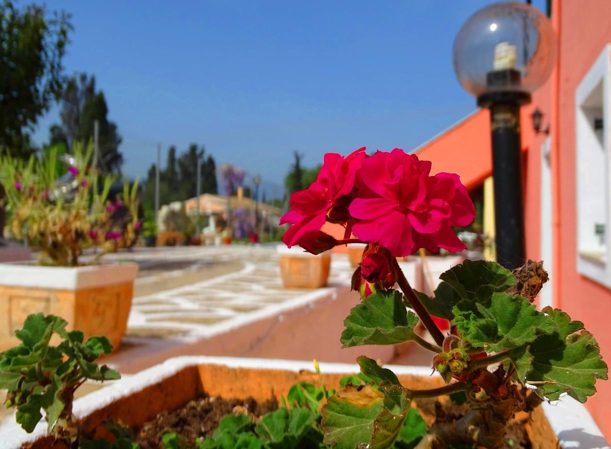 Joanna Apartments Контокали Екстериор снимка